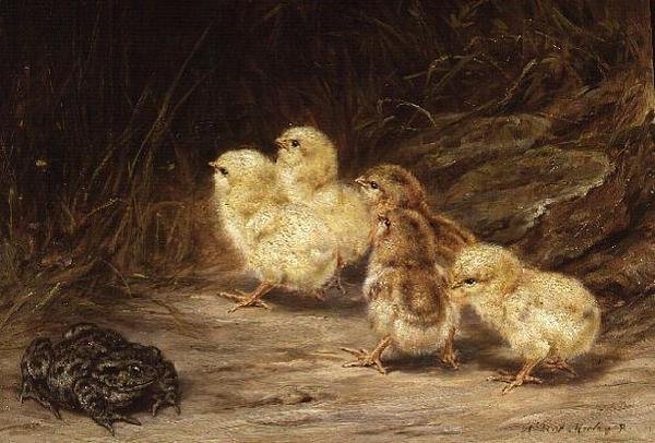 Poussins et crapaud - Robert Morley