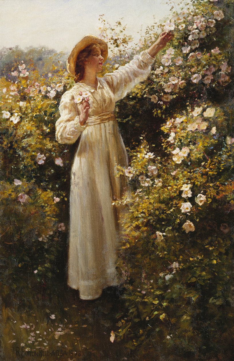 Églantine - Robert Payton Reid