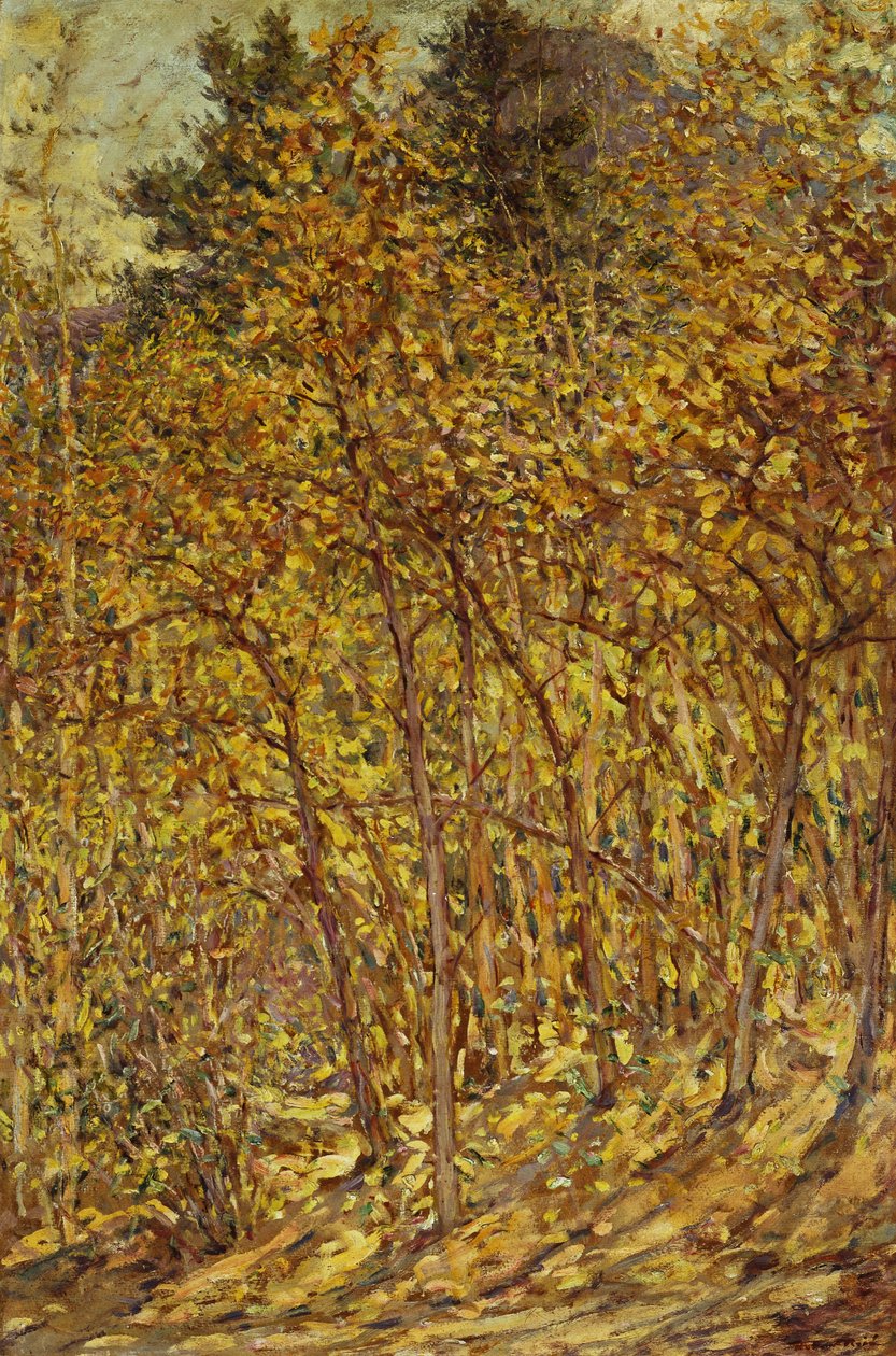 Lumière d