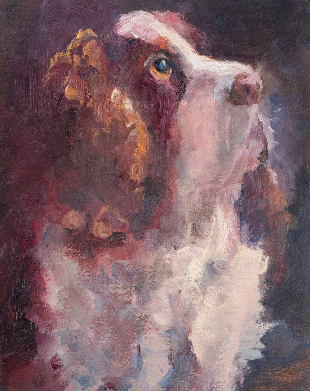 Roméo, 2015 - Roberta Murray