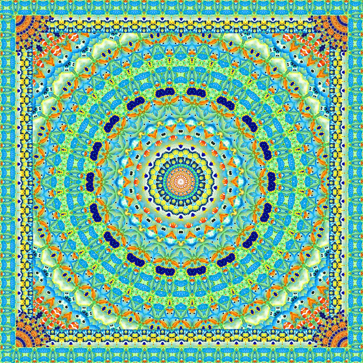 Carreau de roue de poissons tropicaux - Robyn Parker