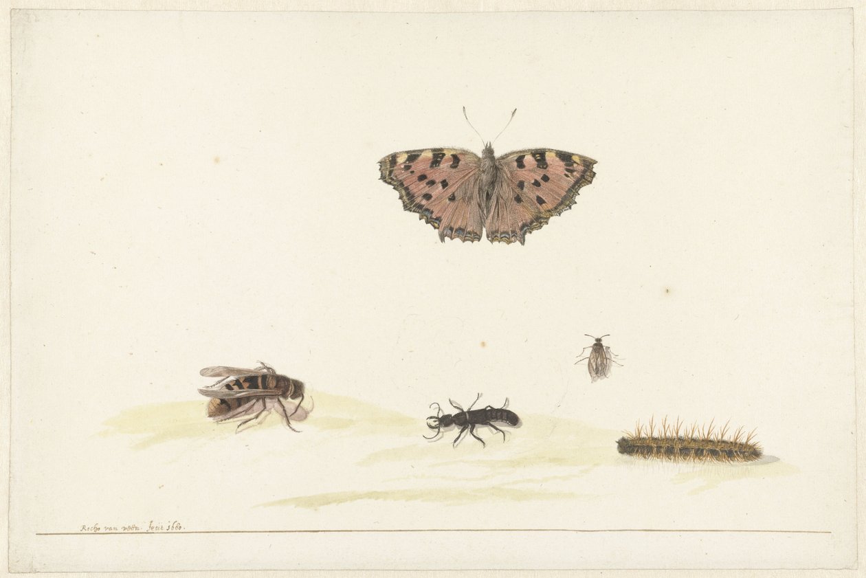 Feuille d