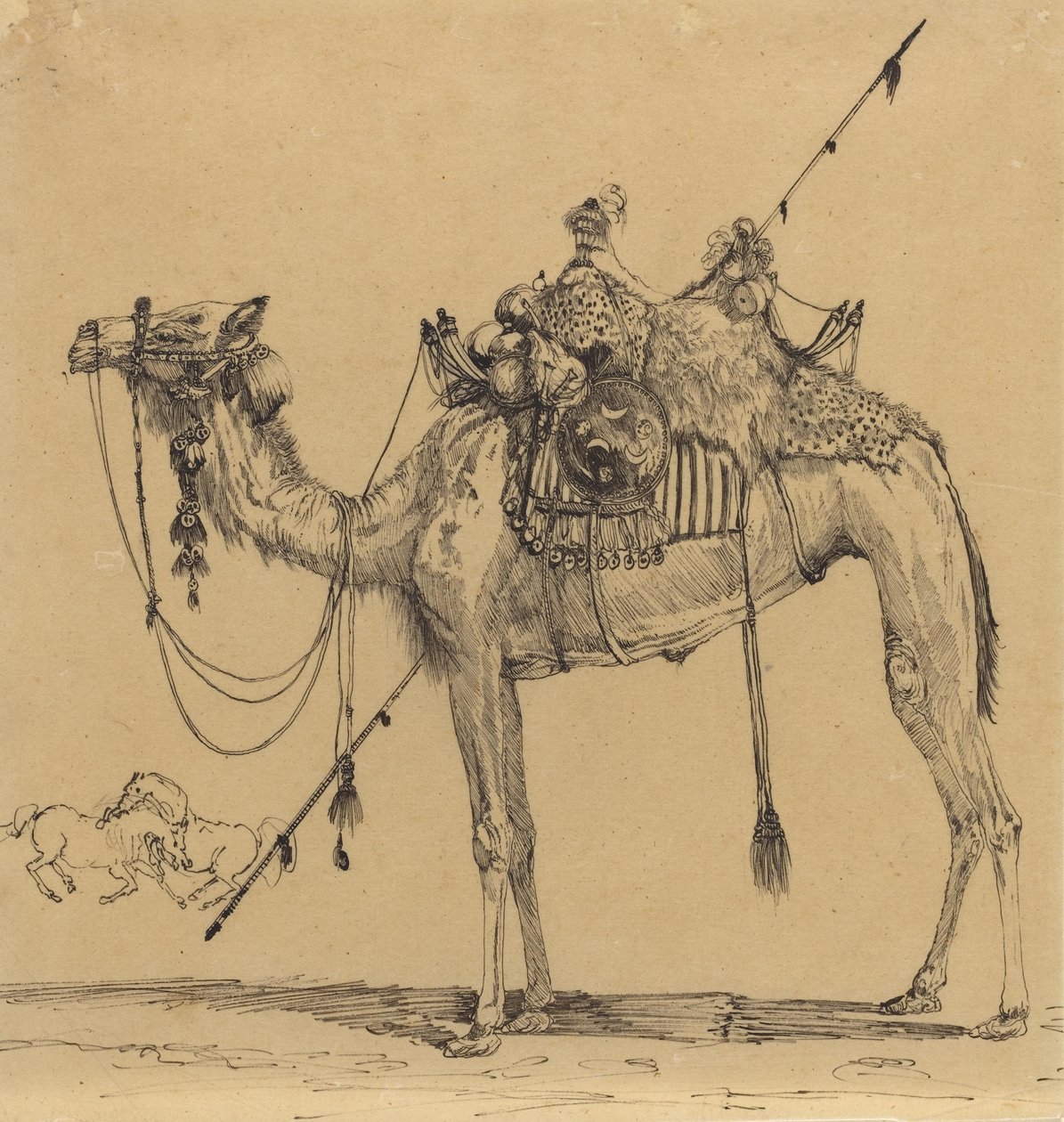 Le chameau - Rodolphe Bresdin