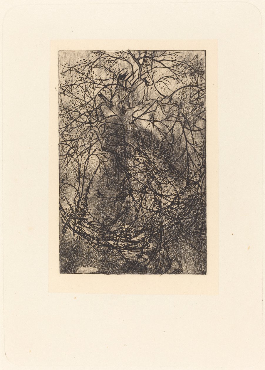 Branches - Rodolphe Bresdin