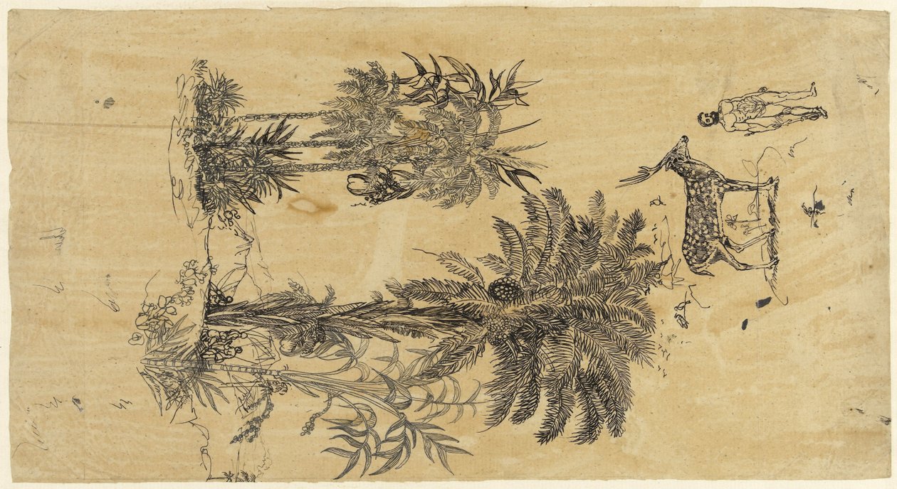 Feuille d