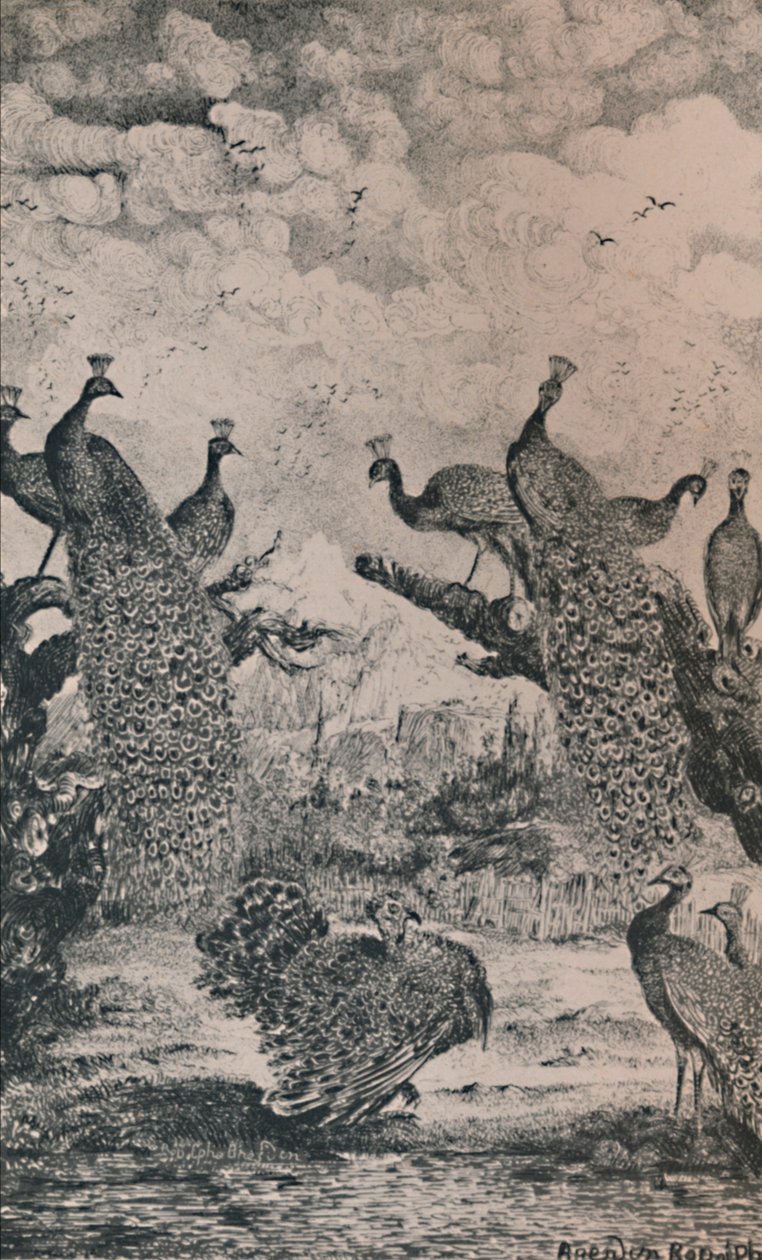 Les Paons, 1869, 1946 - Rodolphe Bresdin