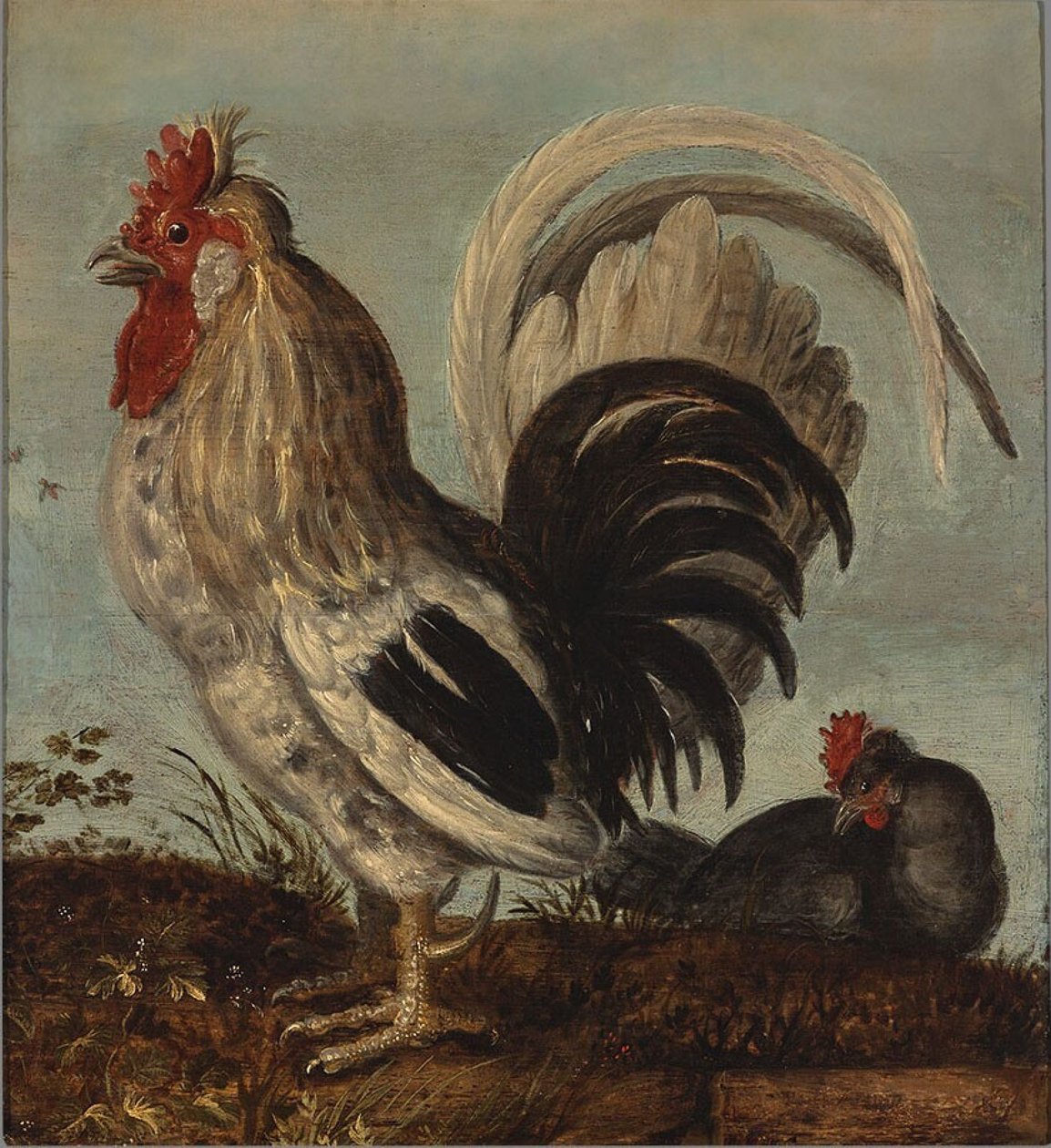 Un Coq - Roelandt Jacobsz. Savery