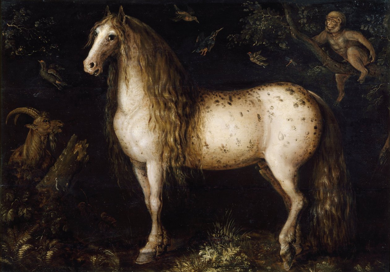 Le gris pommelé, vers 1625-1630 - Roelant Savery