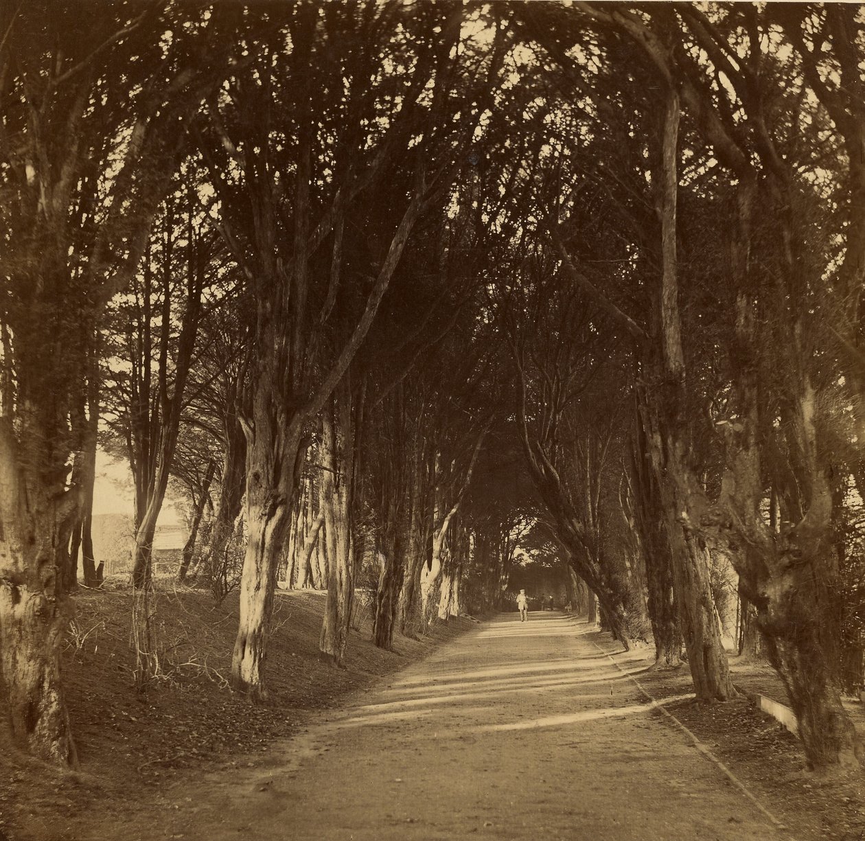 La promenade des ténèbres ; Stonyhurst - Roger Fenton