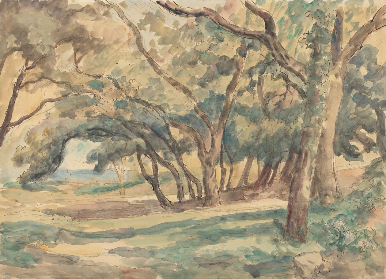 Clairière boisée près de Saint-Tropez - Roger Fry