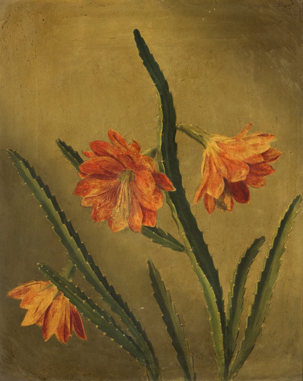 Étude de fleurs - Rolinda Sharples