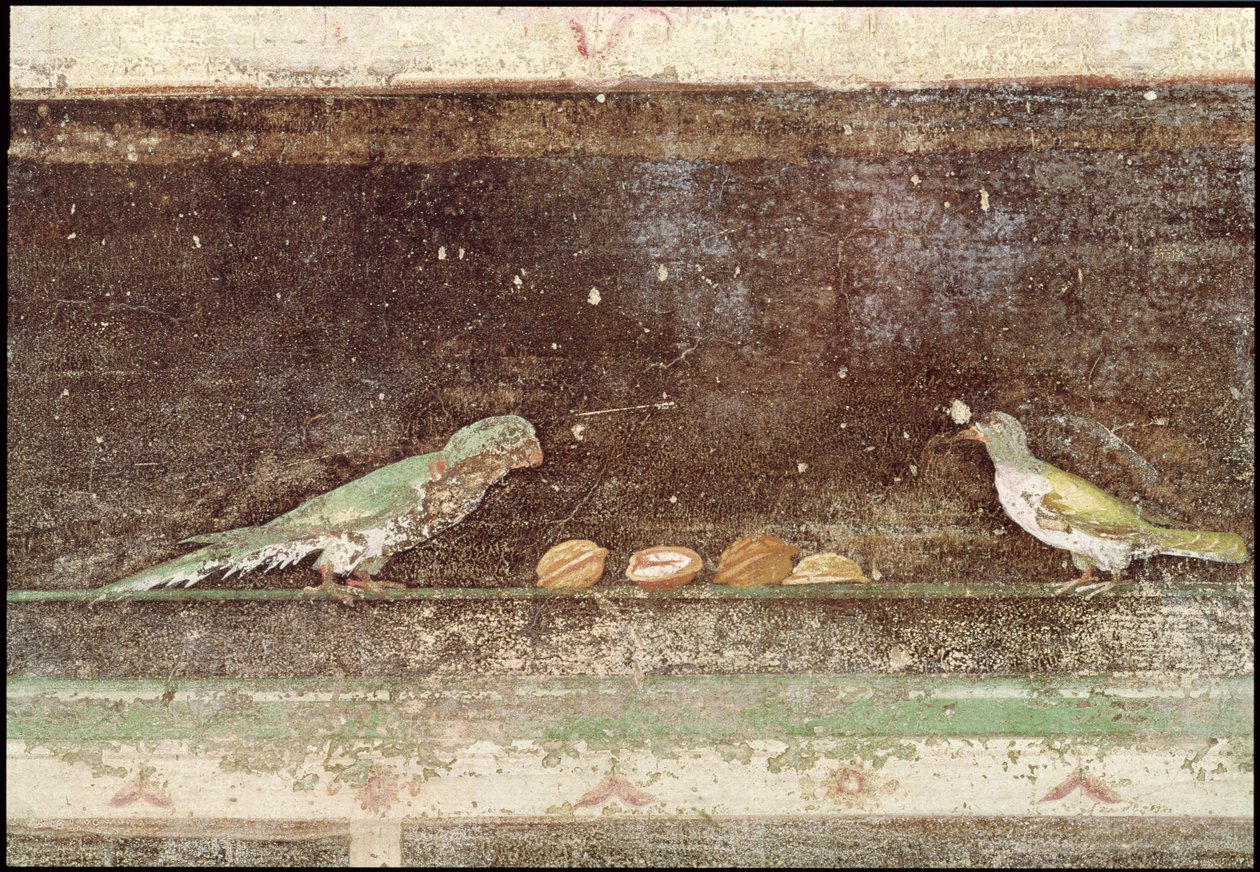 Oiseaux mangeant des noix (détail) - Roman