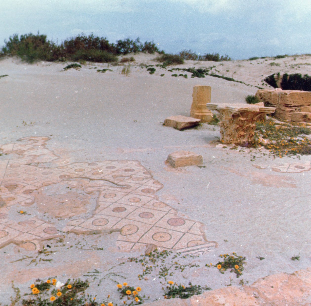 Fouilles dans les Dunes - Roman