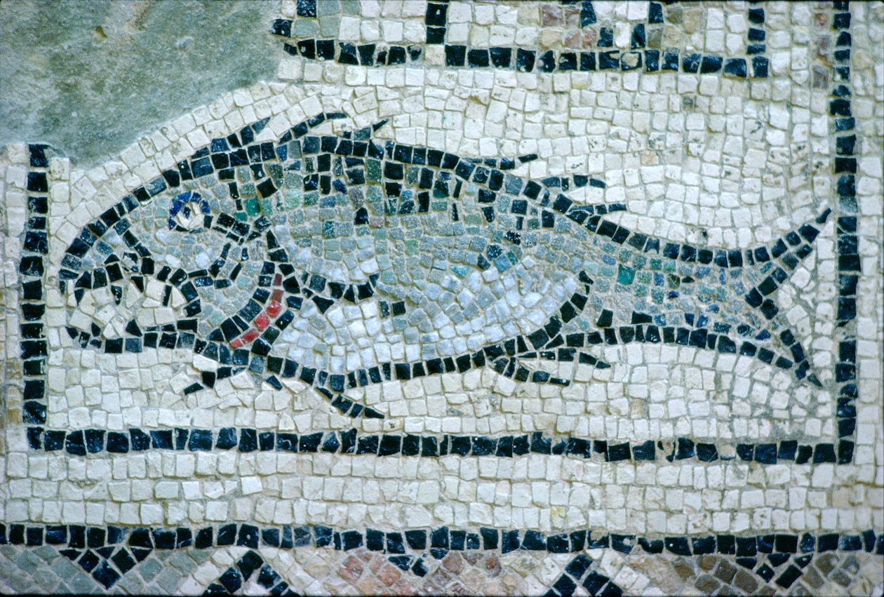 Poisson sur un sol romain (mosaïque) - Roman