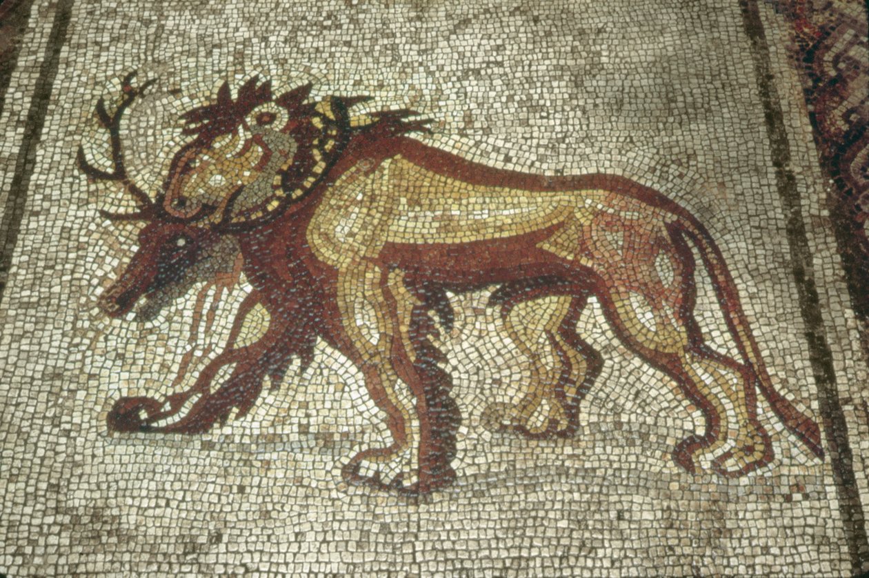 Lion, Insula XXI, Bâtiment 2 fin du IIe siècle après J.-C. - Roman