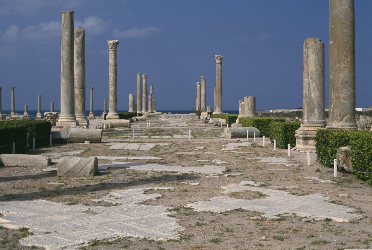 Rue principale colonnée - Roman