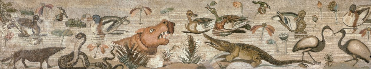 Scène du Nil, de la Casa del Fauno (Maison du Faune) Pompéi - Roman