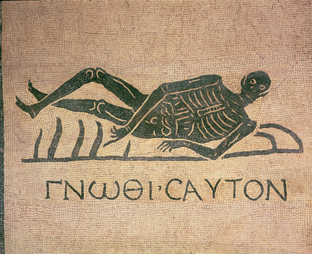 Squelette allongé avec la légende 