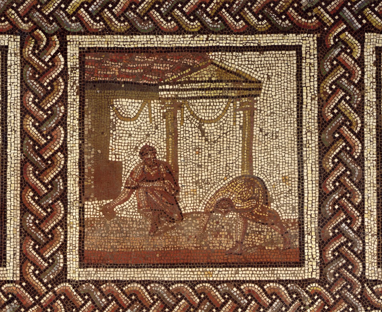 Semer des haricots, de Saint-Roman-en-Gal - Roman