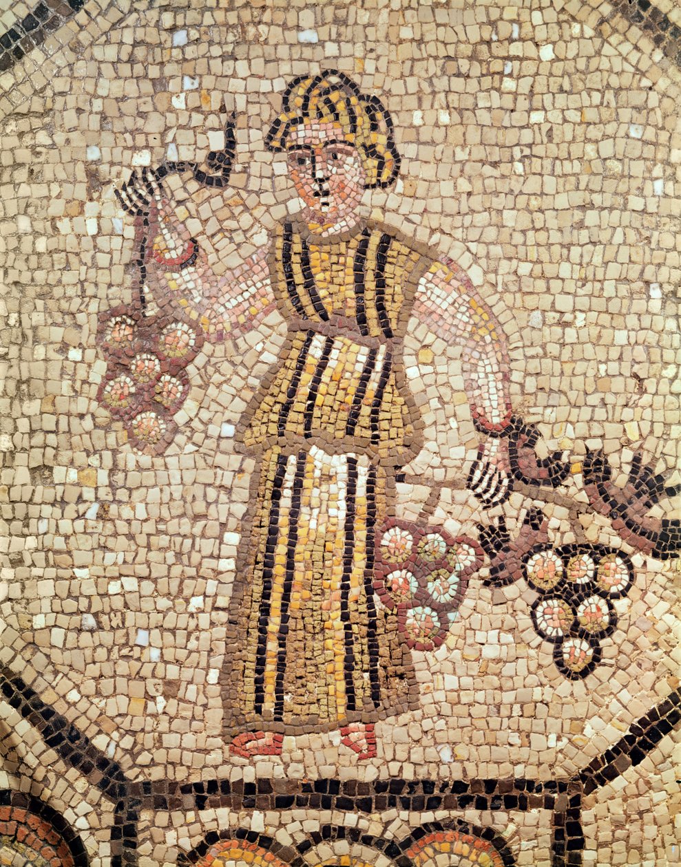 Le Vendeur de raisins - Roman