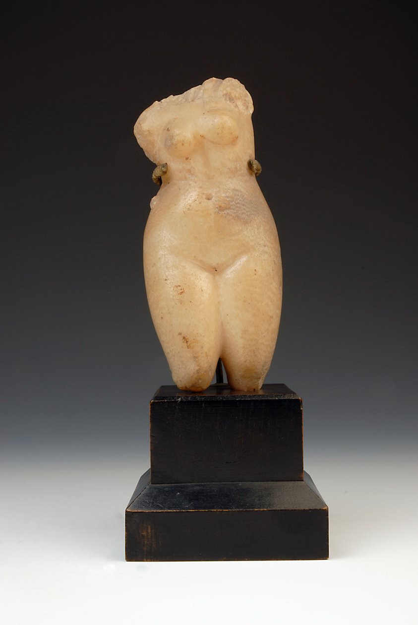 Torse de femme nue - Roman