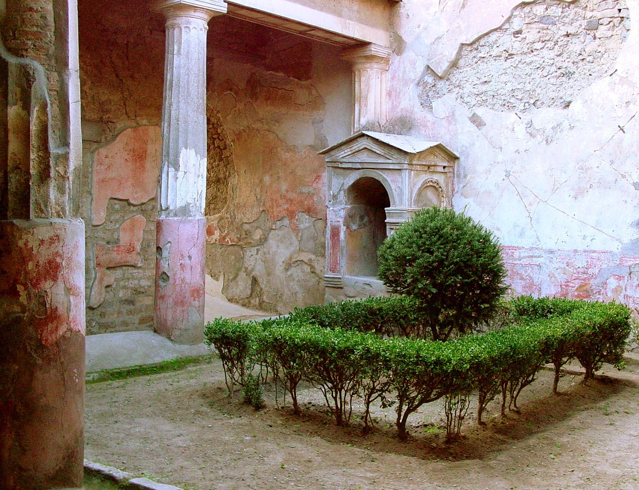 Vue d