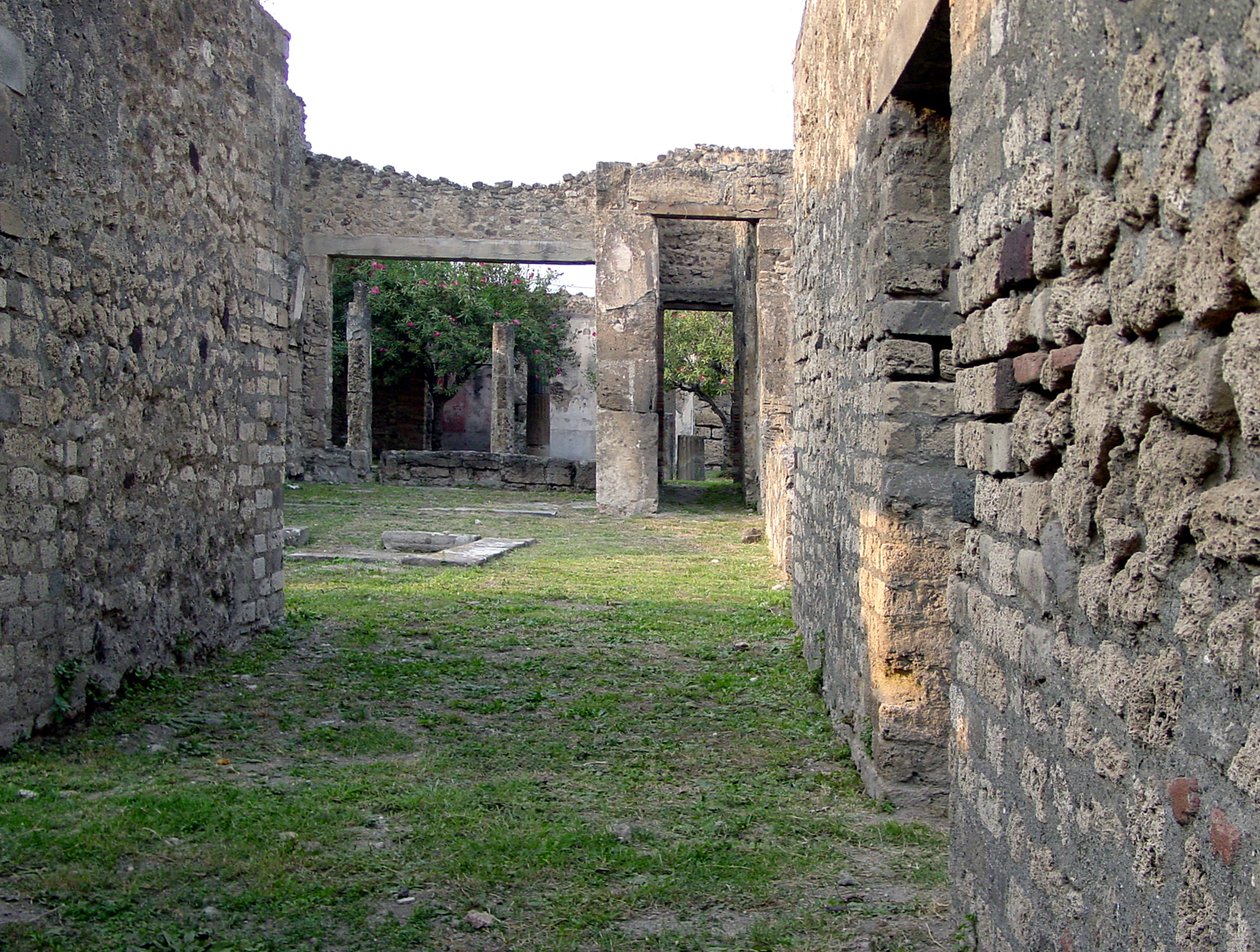 Vue d