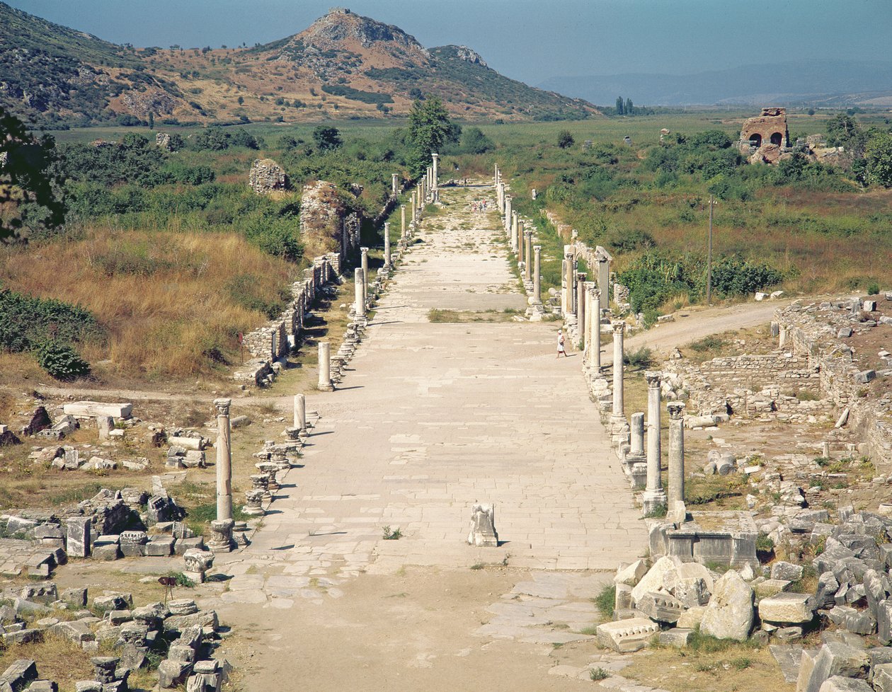 Vue de l