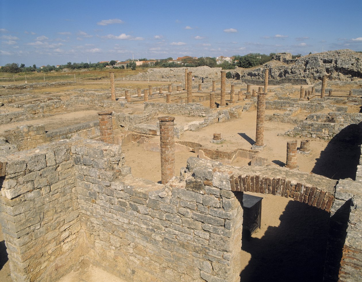 Vue des ruines - Roman
