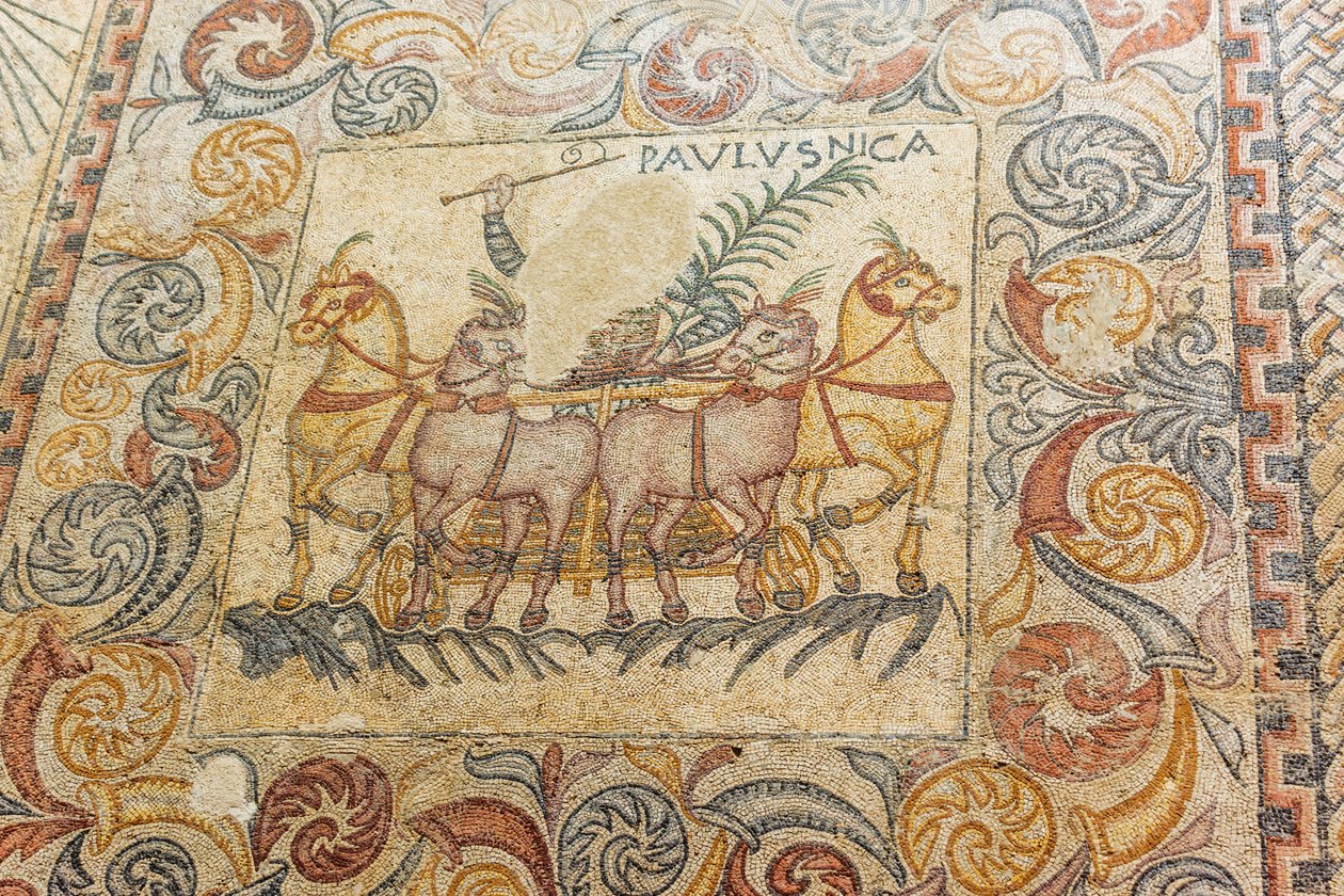 Mosaïques représentant un cocher conduisant quatre chevaux - Roman Roman