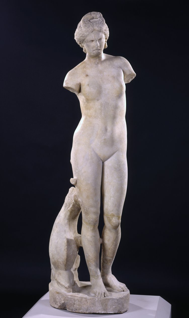 Aphrodite de Cyrène - Roman