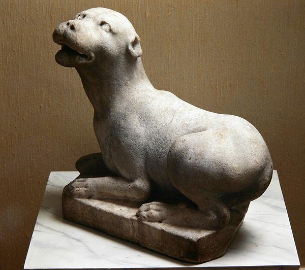 Cave Canem, Attention au chien - Roman