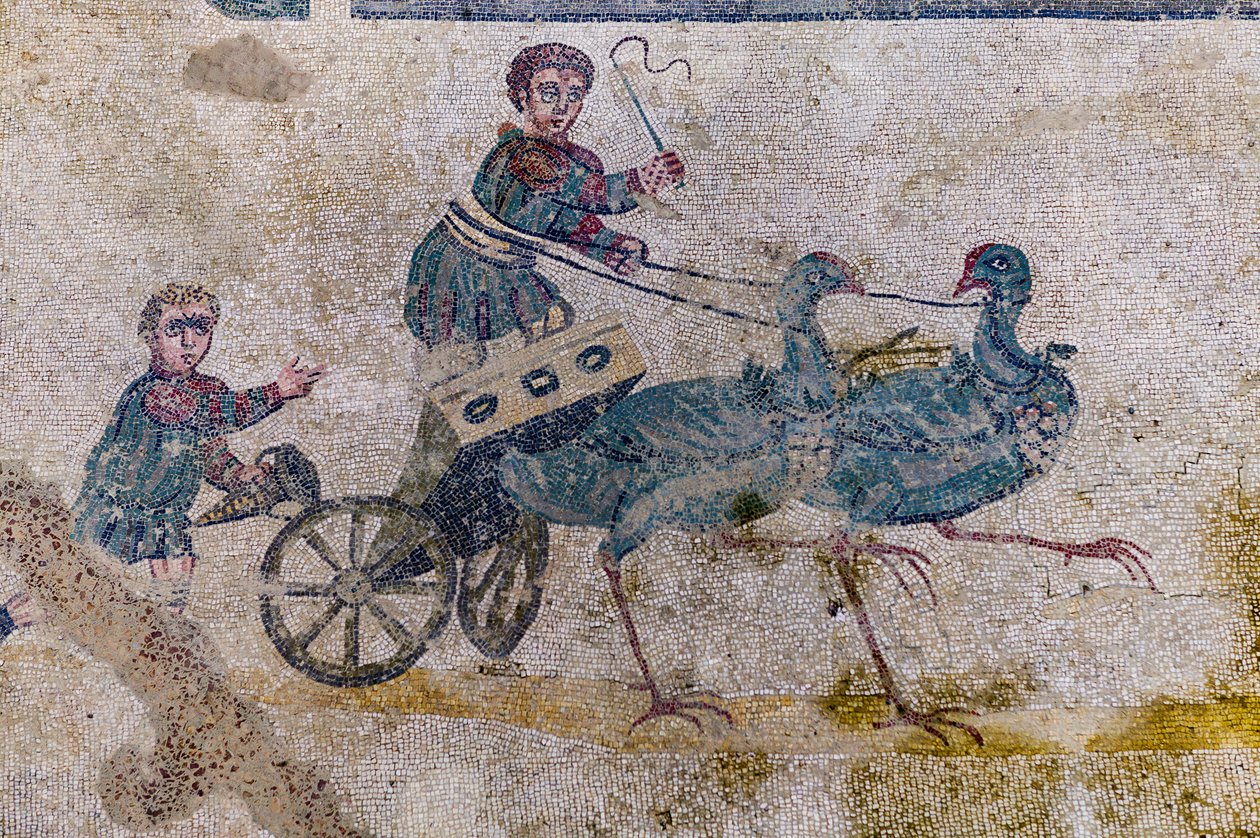 Course de chars tirés par des oiseaux - Roman