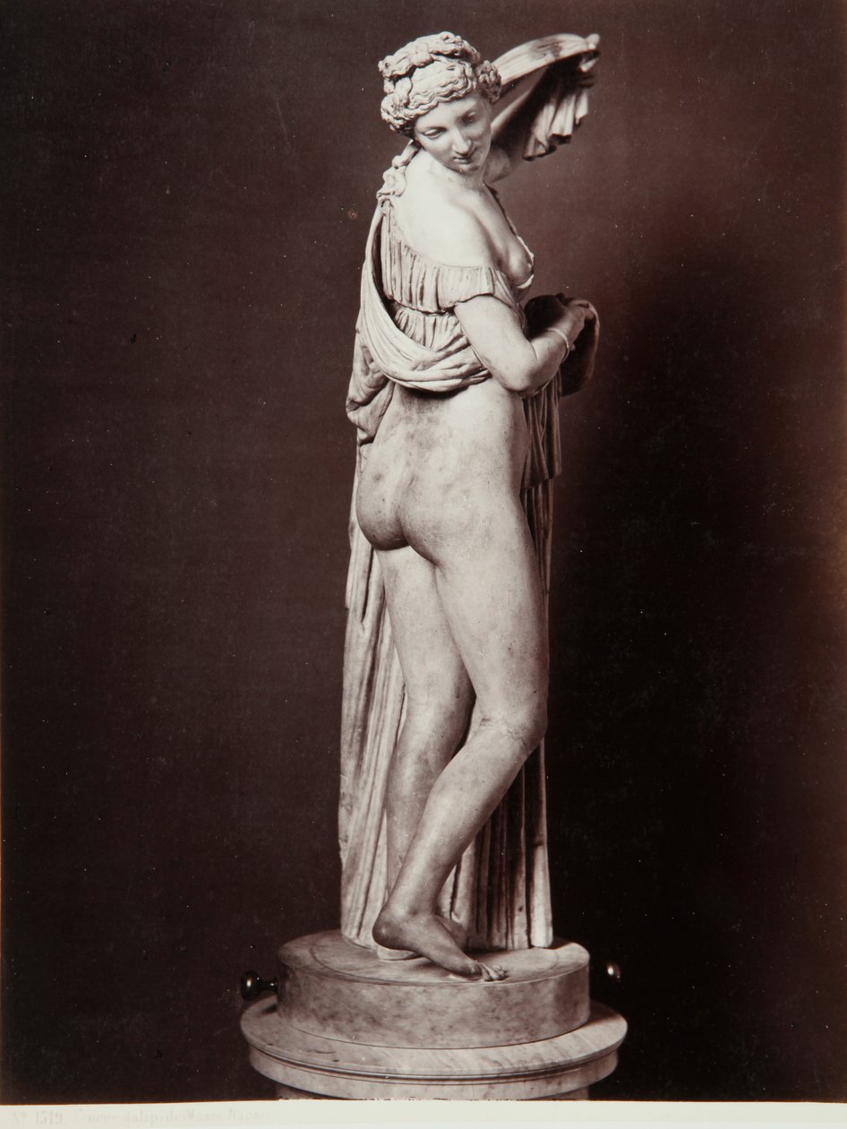 La Vénus Callipyge - Roman