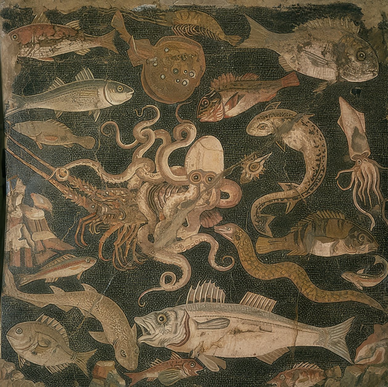 Animaux aquatiques, combat entre une pieuvre et un homard - Roman