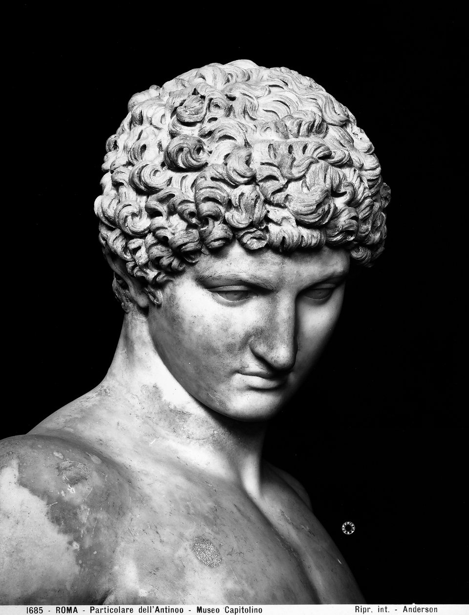Antinoüs (détail) - Roman Roman