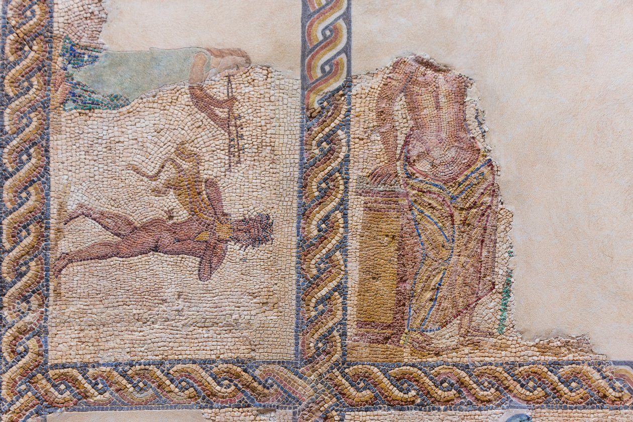 Mosaïques partiellement endommagées exposées - Roman Roman