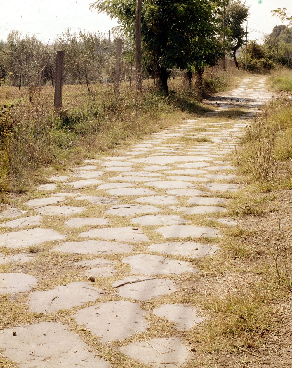 Via Flaminia, Rome - Roman Roman