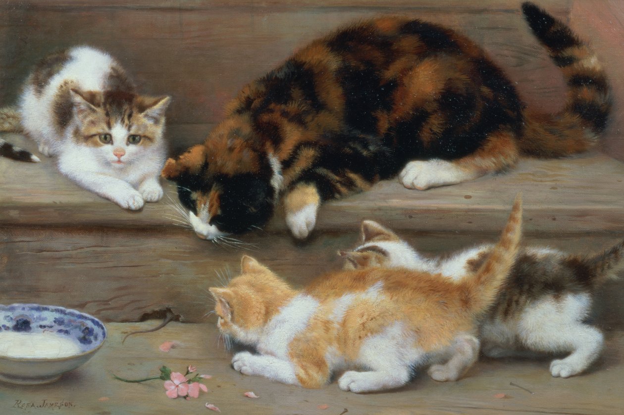 Chat et chatons chassant une souris - Rosa Jameson