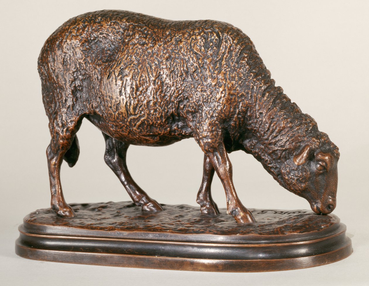 Un mouton en pâturage - Rosa Bonheur