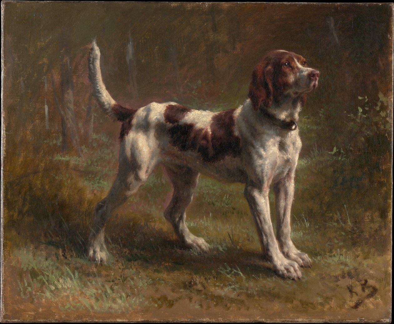 Un chien Limier Briquet - Rosa Bonheur