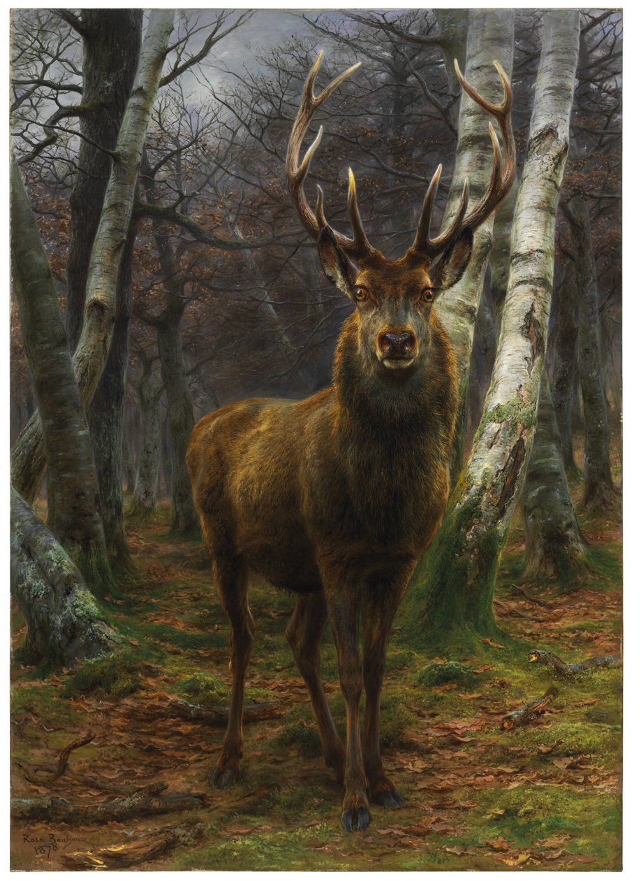 Roi de la forêt, 1878 - Rosa Bonheur