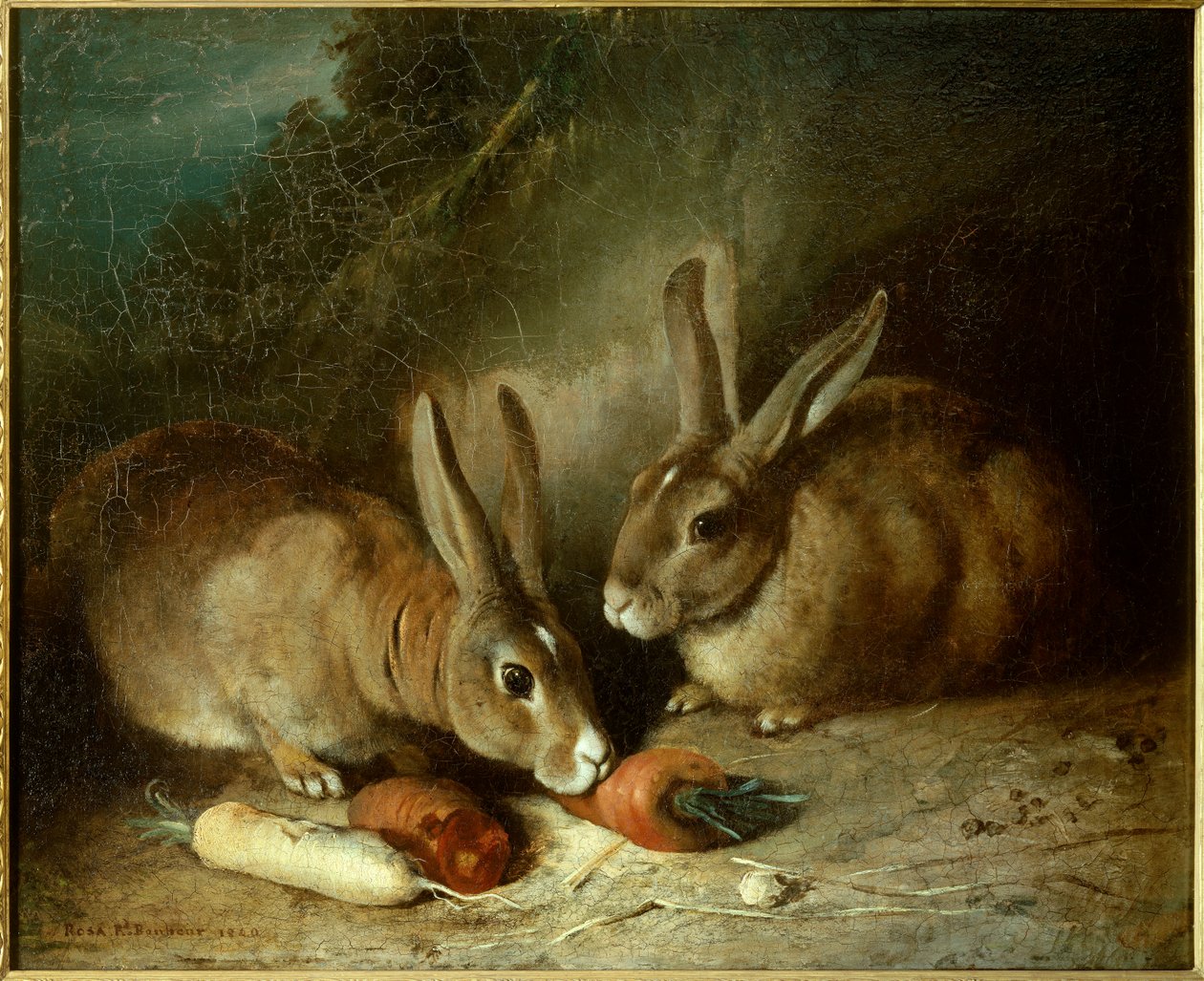 Lapins - Rosa Bonheur