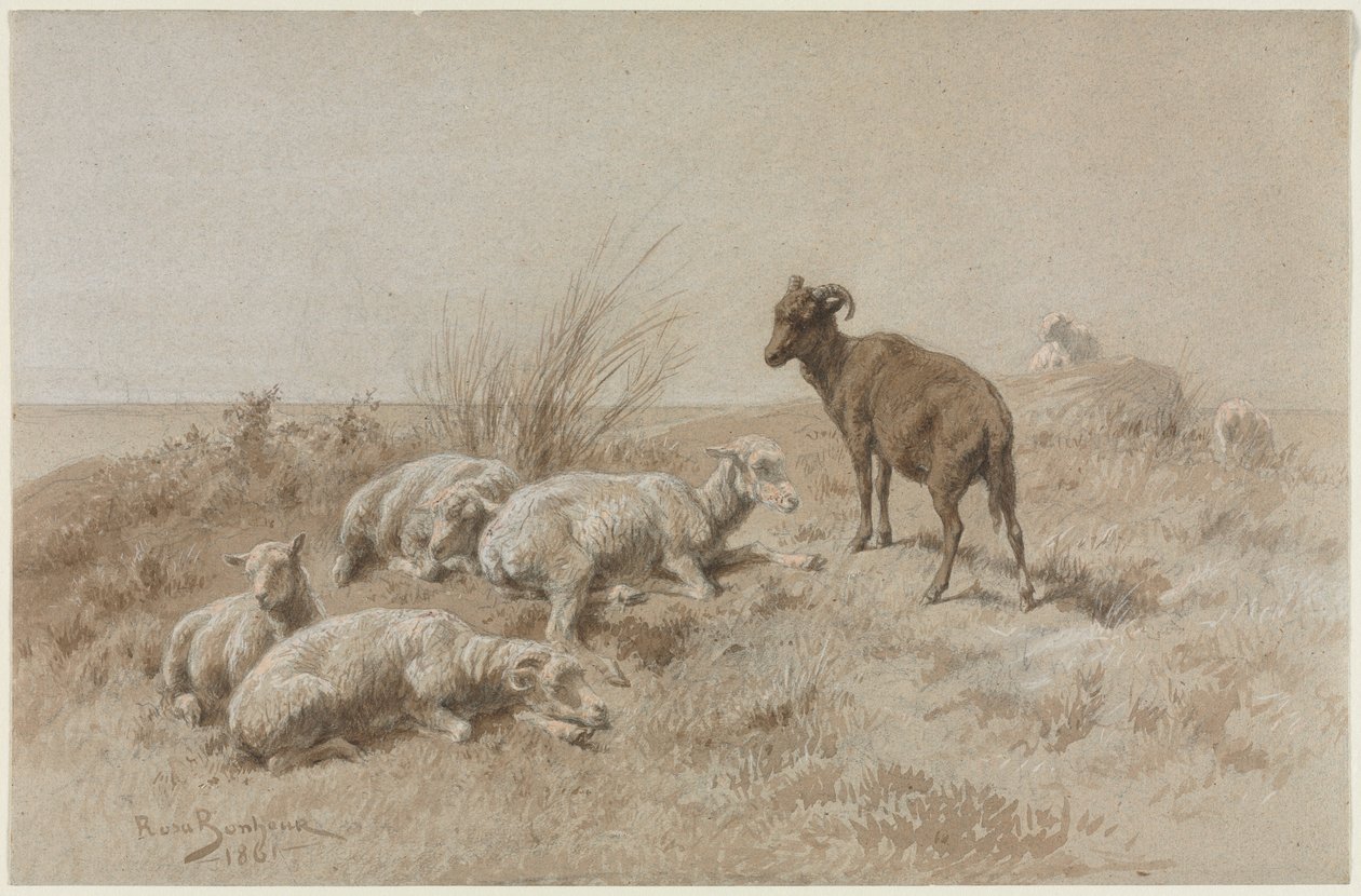 Moutons - Rosa Bonheur