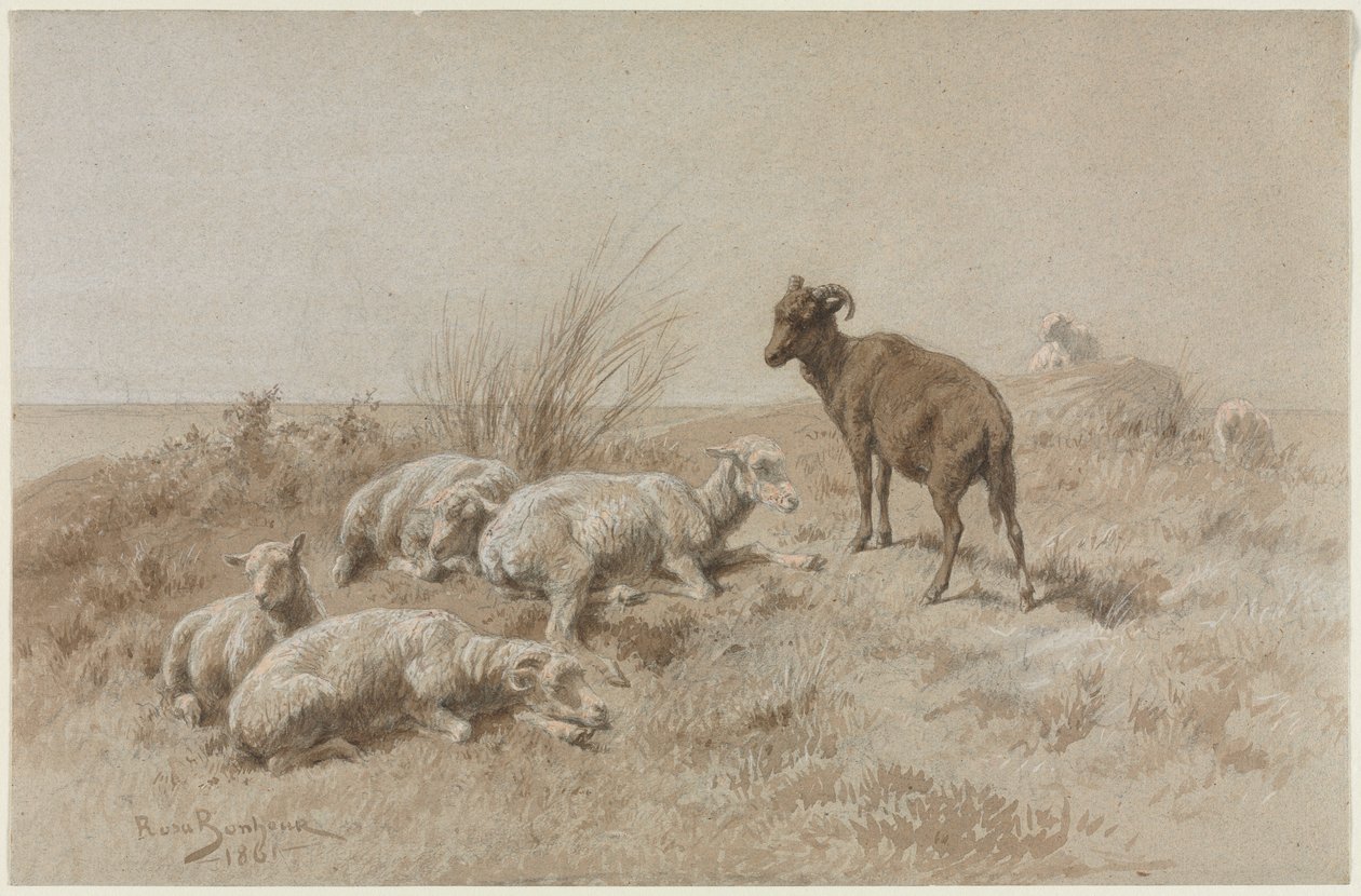 Moutons - Rosa Bonheur