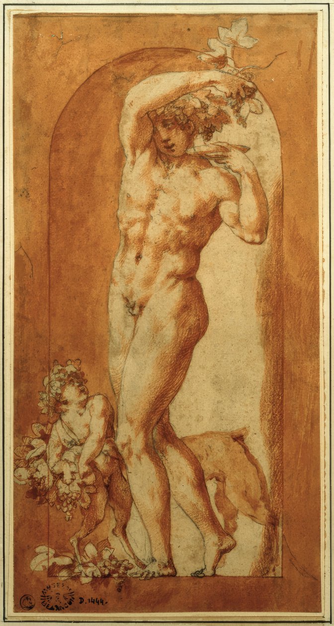 Bacchus dans une niche - Rosso Fiorentino