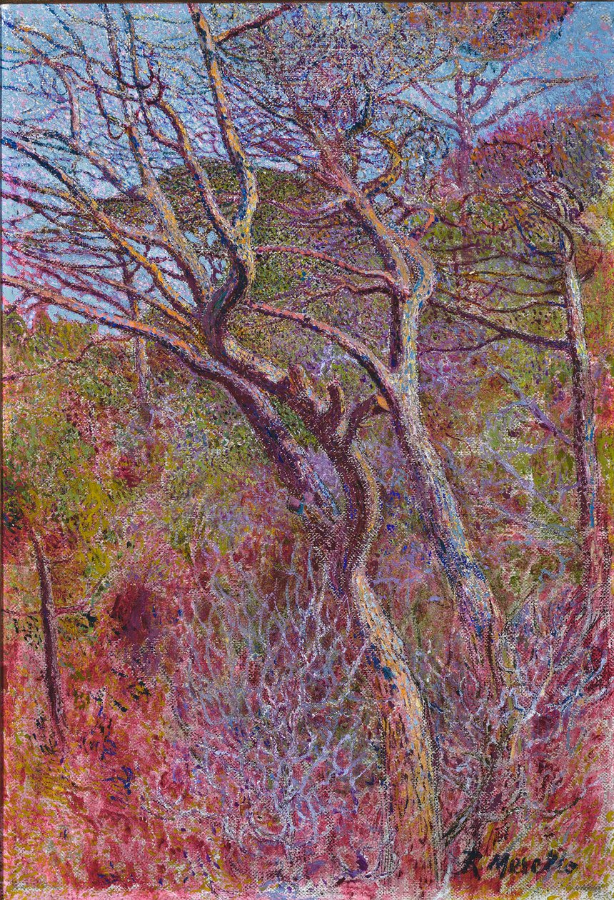 Paysage, Studio, vers 1907 - Rubaldo Merello
