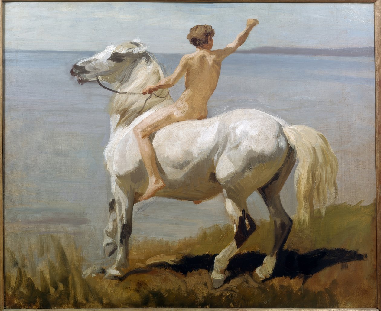 Garçon sur un cheval blanc - Rudolf Koller