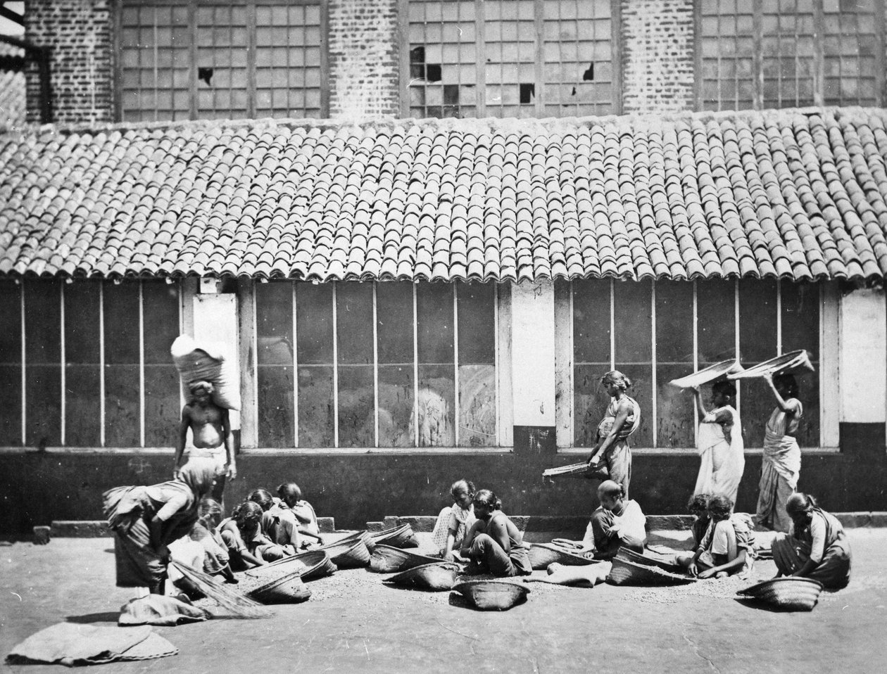 Nettoyage et tri du café, Colombo, 1870 - S. and Shepherd, C. Bourne