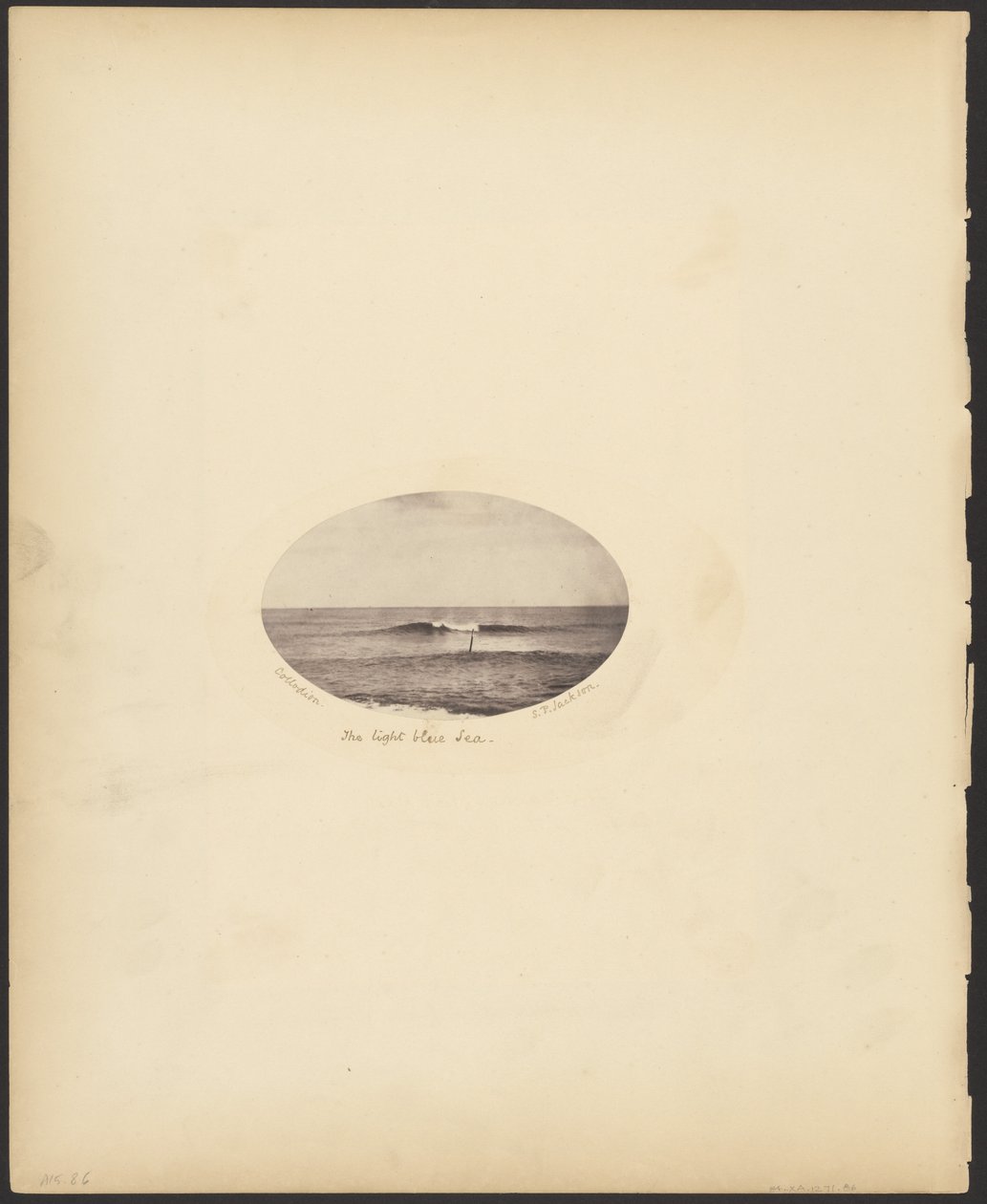 La mer bleu clair - S. P. Jackson